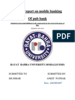 Project Report On Mobile Banking of PNB Bank: Rayat Bahra University - Mohali (Usms)