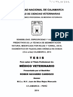 Universidad Nacional de Cajamarca: Te S 1 S