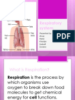 Respiratory System: Presented By: Arooj Heba Khadija Zarbaft Zunaira