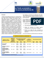 Opciones_de_mejora_Flujo_Pozos_Gas.pdf