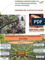 MIPE Cacao 2017 - ICA PDF