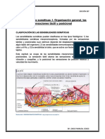 Edoc.site Capitulo 47 Sensibilidades Somaticas 1 Organizacio