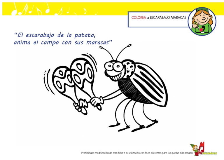 Escarabajo Maracas PDF