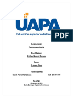 Trabajo Final Neuropsicología