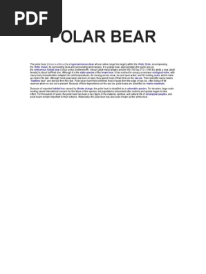 Polar Bear