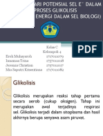 Kel. 4 Aplikasi Dari Potensial Sel E° Dalam Proses Glikolisis
