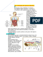 48418841-6163644-anatomia-y-fisiologia-del-aparato-digestivo.pdf
