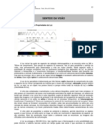 08.sentido_visao.pdf