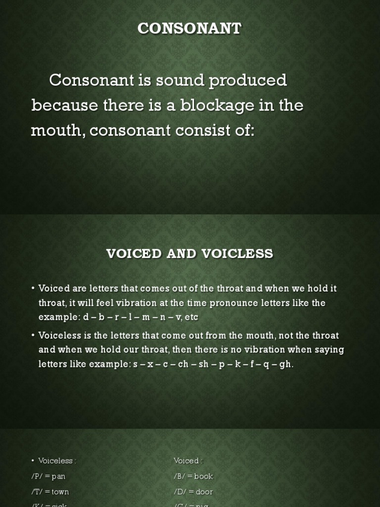 Voiced vs. Voiceless Consonants Explained | PDF