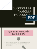 Introducción A La Anatomía Patológica..