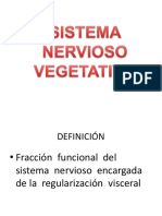 Sistema nervioso vegetativo: funciones y componentes