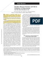 Multilayered Interplay Between Fructose and Salt in Development of Hypertension