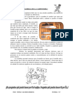 Manual de Orientacion Para PMLL