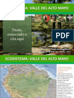 Ecosistema: Valle Del Alto Mayo