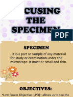 Focusing of Specimen