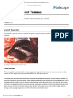 Penetrating Abdominal Trauma - Practice Essentials, Background, Anatomy - En.id