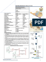 Central Hidroelectrica de Molloco PDF