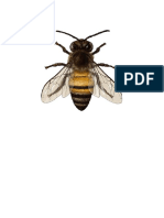 bee psv