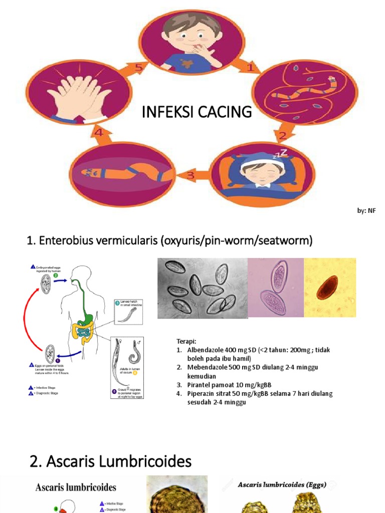 Terapi Infeksi Cacing Umum | PDF | Microbiology | Clinical Medicine