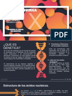 GENETICA QUIMICA PRESENTACION.pptx