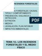 tema1incendios.pdf