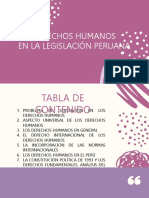 Derechos Humanos