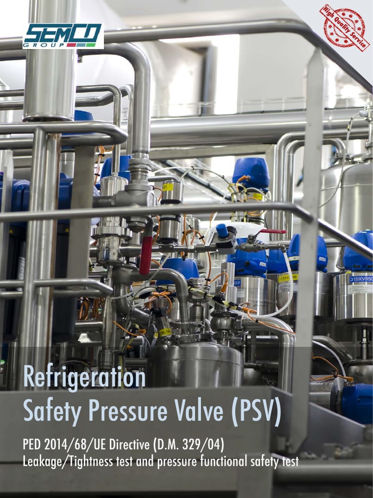 PSV Inspection per D.M. 329/04 Standards | PDF | Valve | Surface Roughness