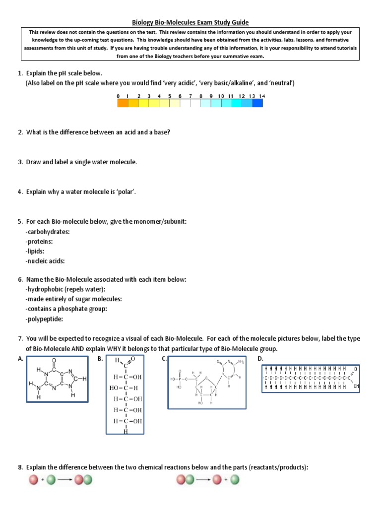 1415 BioMolecules Study Guide PDF Biomolecules Proteins