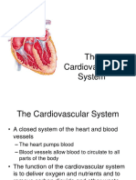 CH 11 - Cardiovascular System