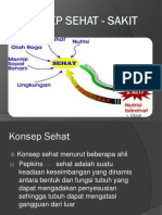 Konsep-Sehat - Sakit - Musdarianto