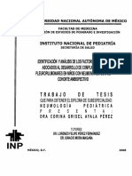 tesis2008_53.pdf