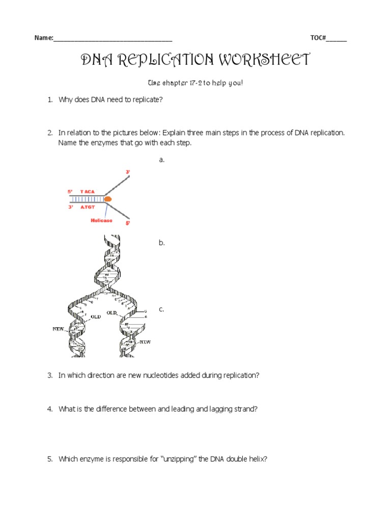 Dna double helix worksheet answers