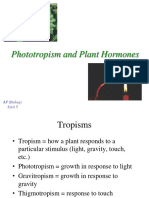Phototropism and Plant Hormones: AP Biology Unit 5