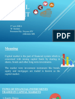 Capital Market Guide