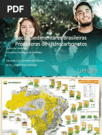 BaciasSedimentaresCPSA.pdf