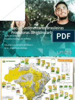 BaciasSedimentaresCPSA PDF