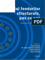 Auditul Fondurilor Structurale Pas Cu Pas PDF