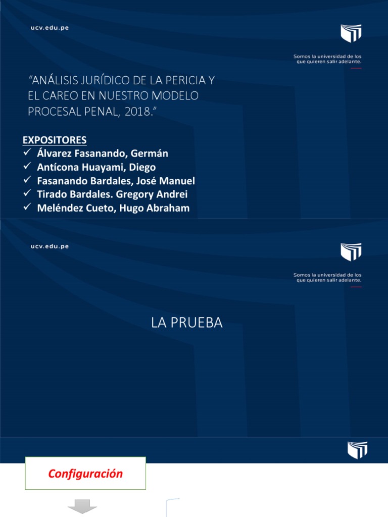 Pericia y Careo en el Proceso Penal Peruano | PDF | Evidencia (ley ...
