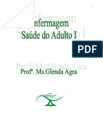 Apostila de Saúde Do Adulto 2013 PDF