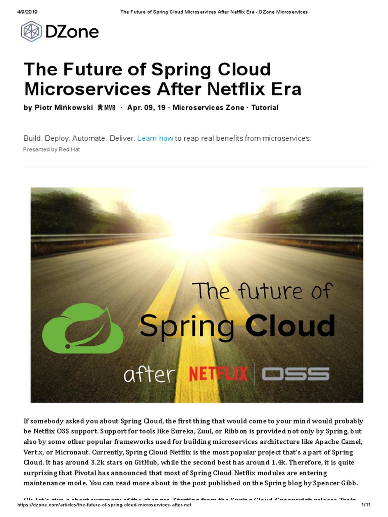 The Future of Spring Cloud Microservices After Netflix Era - DZone ...