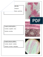 Lab Histology