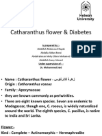 Catharanthus Flower & Diabetes