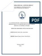 ACTOR CIVIL PROCESAL NCPP.pdf