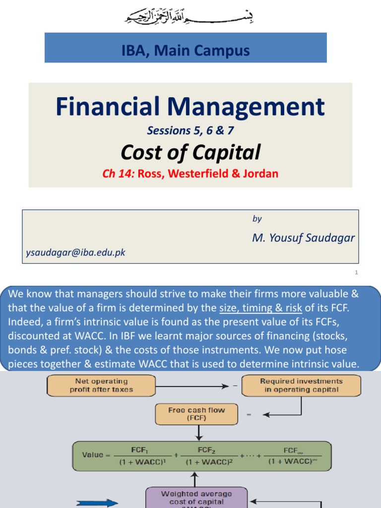 Financial Management: IBA, Main Campus | PDF | Cost Of Capital ...