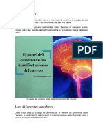 El Papel Del Cerebro en Las Manifestaciones Del Cuerpo