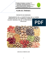 PLAN DE TRABAJO PI TUBEROSAS (1).docx