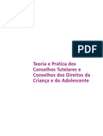 livro-teoria-e-pratica-dos-conselhos-tutelares.pdf