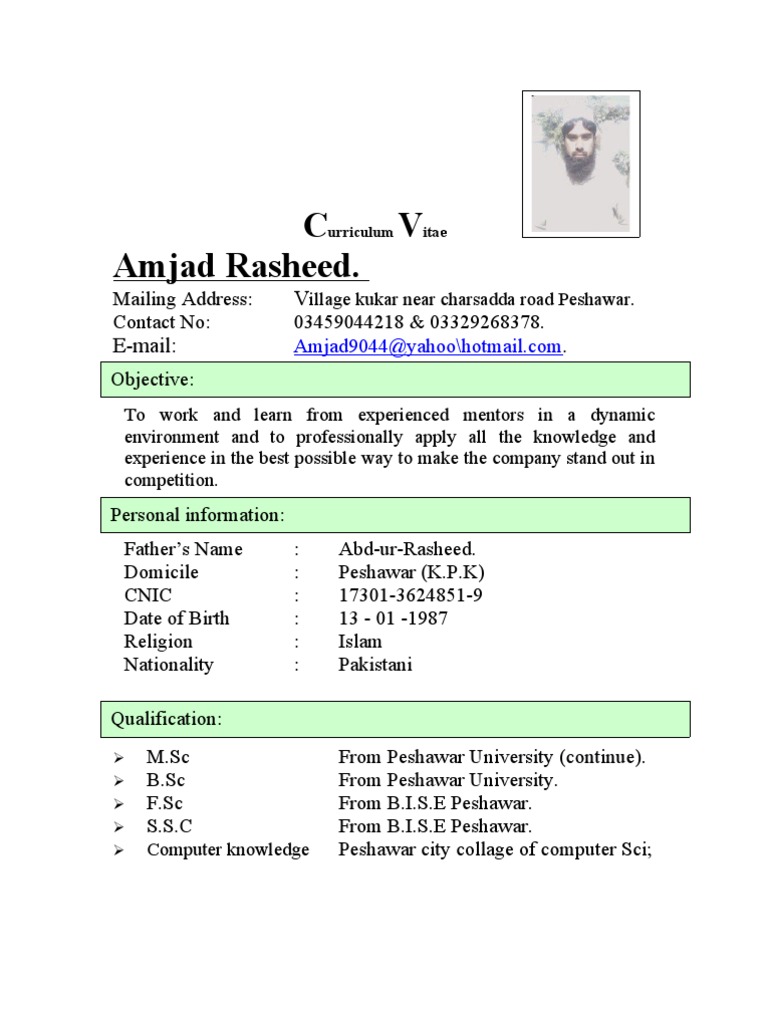 Amjad Rasheed's Professional CV | PDF