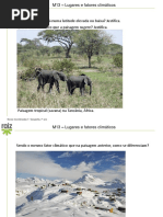 Nc7 m13 Medir Distancias