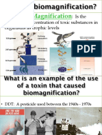 12 - biodiversity biomagnification - weebly